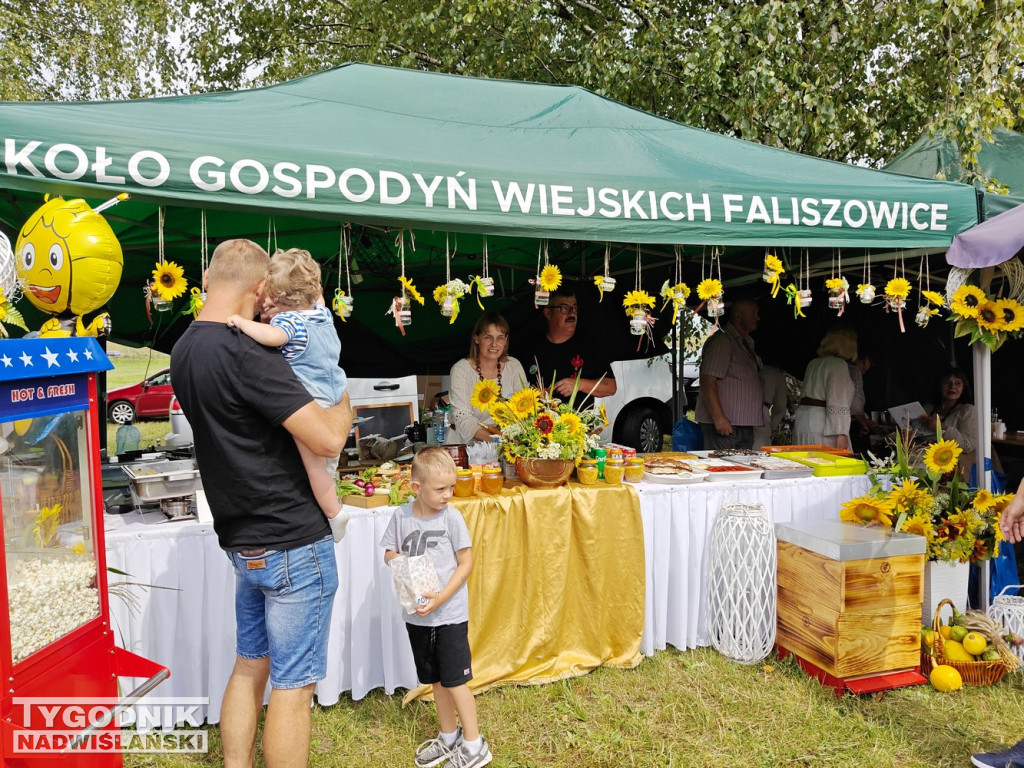 Powiatowe Sandomierskie Święto Miodu i Dziczyzny