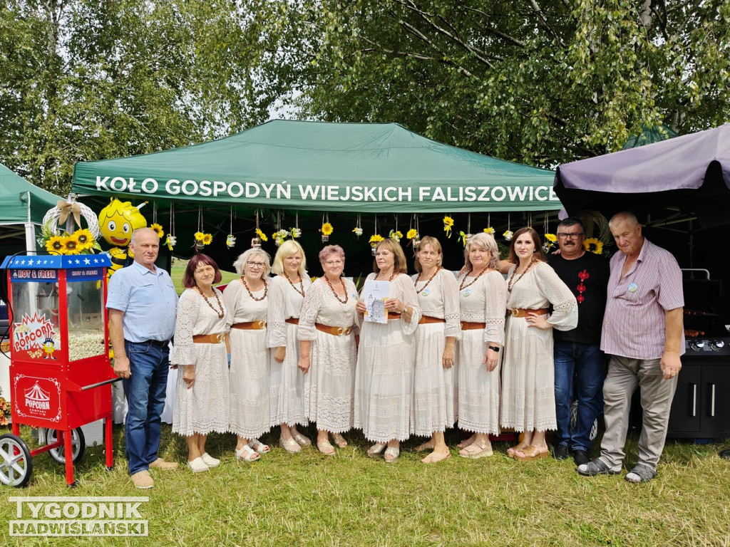 Powiatowe Sandomierskie Święto Miodu i Dziczyzny
