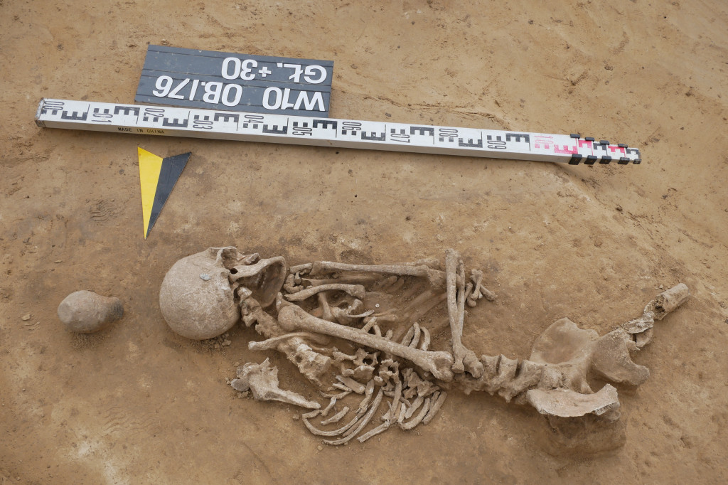 Odkrycia archeologiczne w Wilczycach