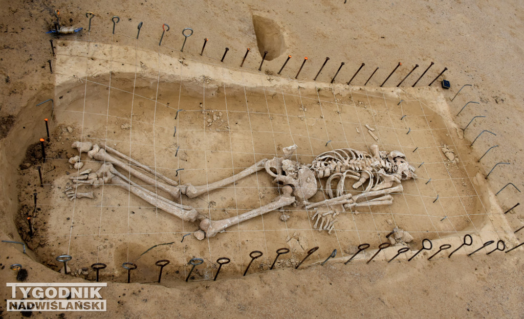Odkrycia archeologiczne w Wilczycach