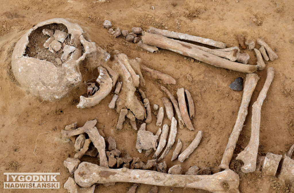 Odkrycia archeologiczne w Wilczycach
