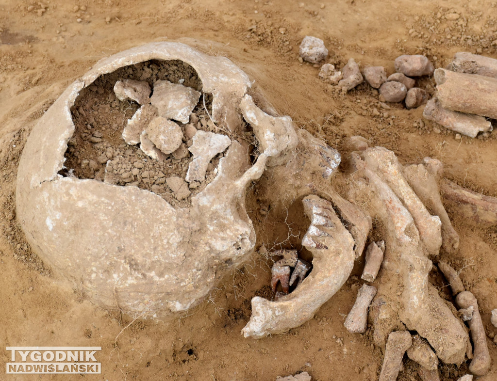 Odkrycia archeologiczne w Wilczycach