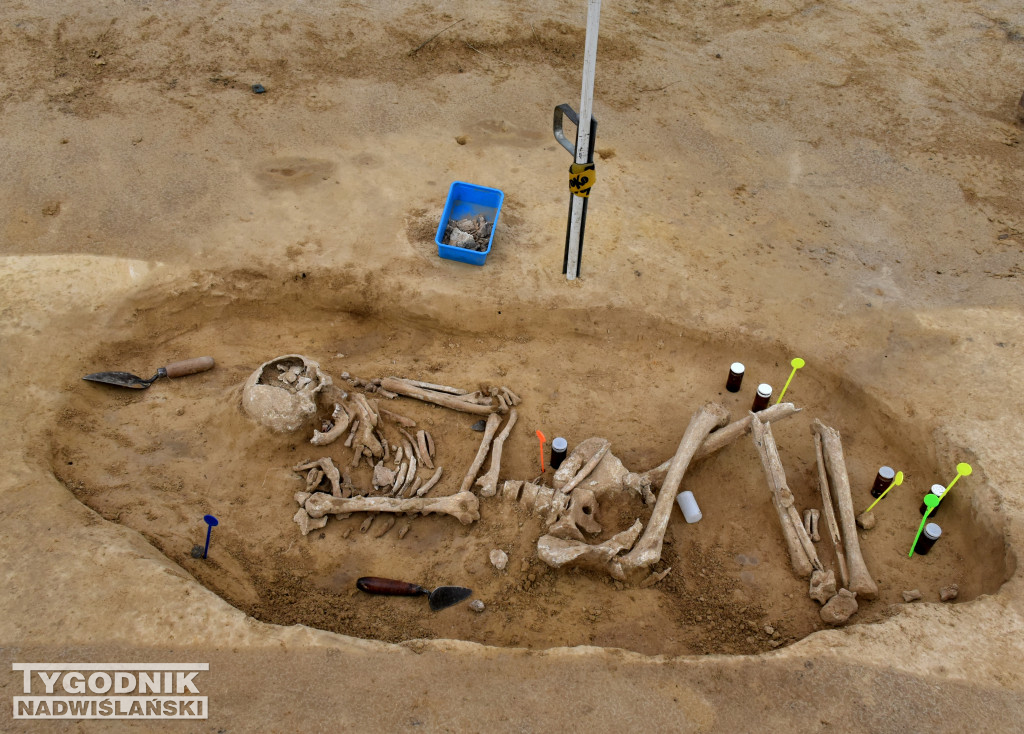 Odkrycia archeologiczne w Wilczycach