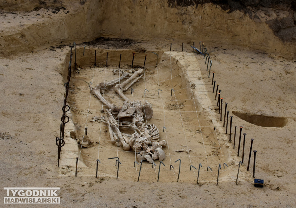 Odkrycia archeologiczne w Wilczycach