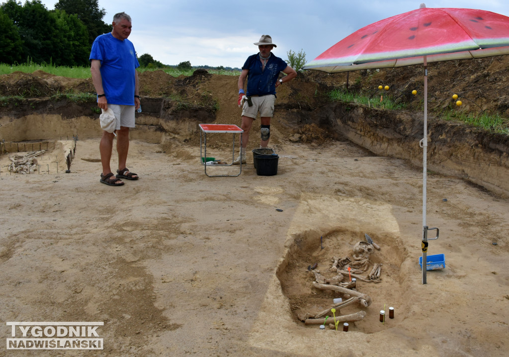 Odkrycia archeologiczne w Wilczycach