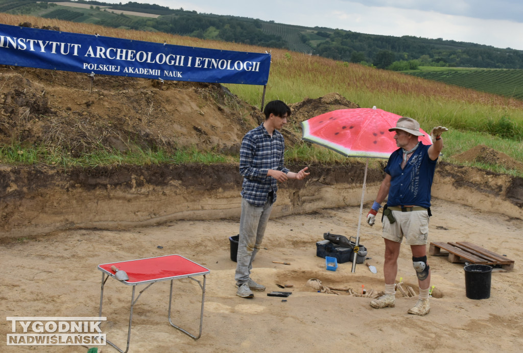 Odkrycia archeologiczne w Wilczycach