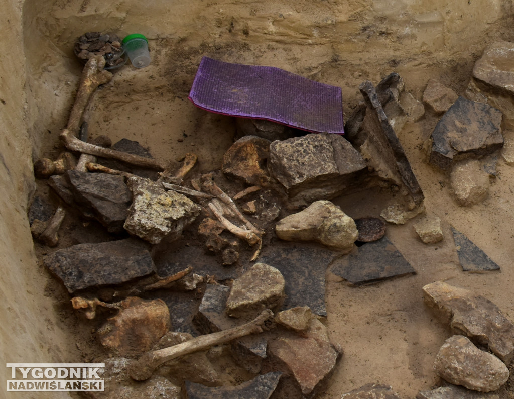 Odkrycia archeologiczne w Wilczycach