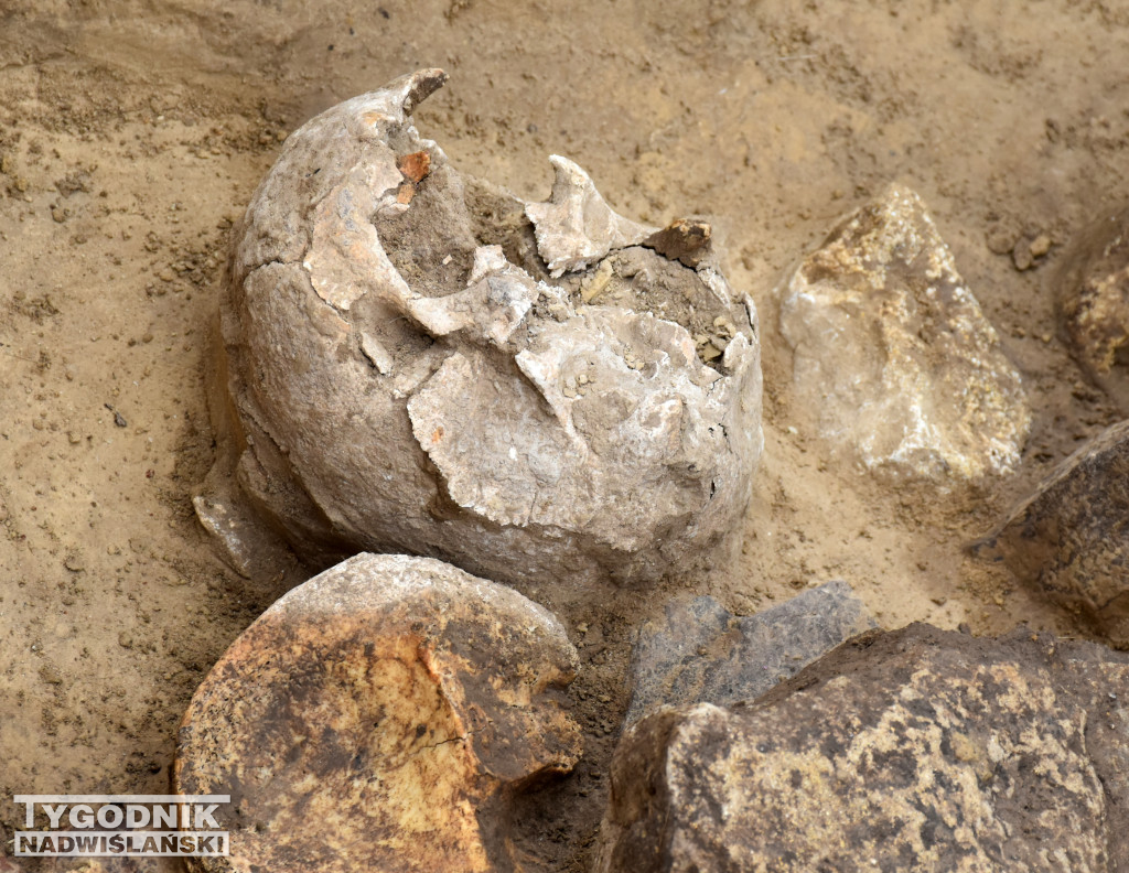 Odkrycia archeologiczne w Wilczycach