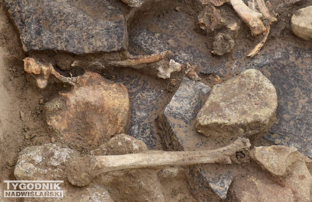 Odkrycia archeologiczne w Wilczycach