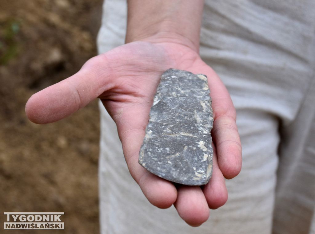 Odkrycia archeologiczne w Wilczycach