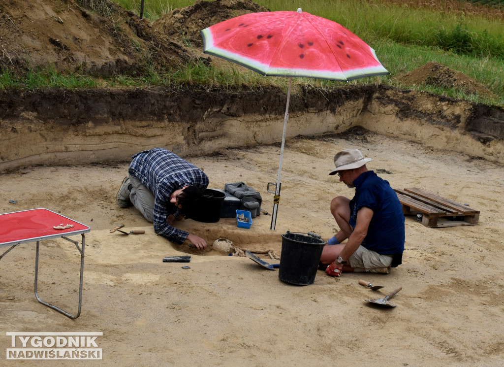 Odkrycia archeologiczne w Wilczycach