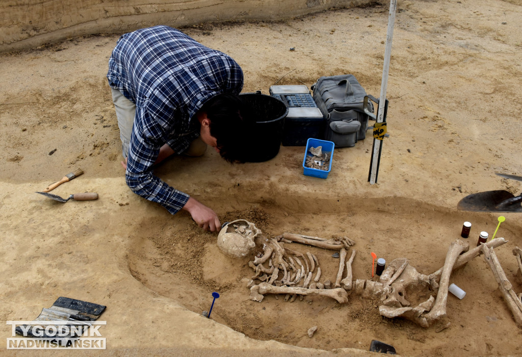 Odkrycia archeologiczne w Wilczycach