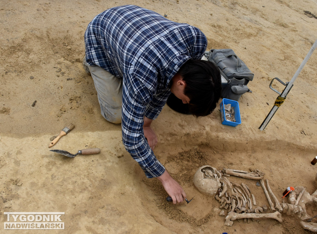 Odkrycia archeologiczne w Wilczycach