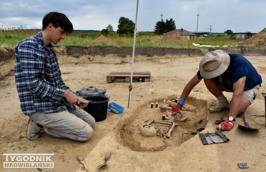 Odkrycia archeologiczne w Wilczycach