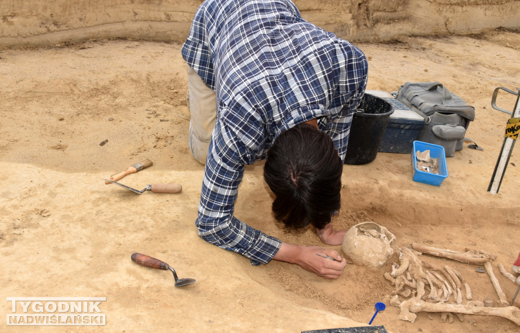 Odkrycia archeologiczne w Wilczycach
