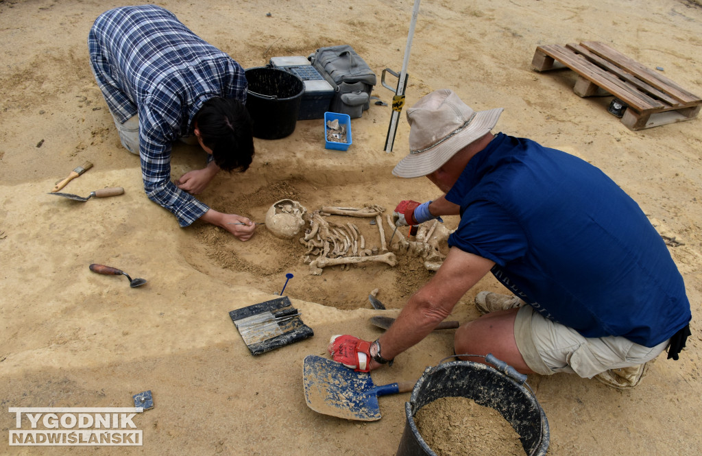 Odkrycia archeologiczne w Wilczycach