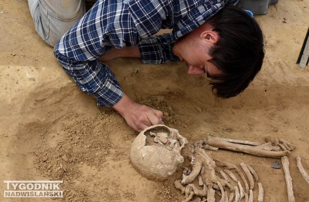 Odkrycia archeologiczne w Wilczycach