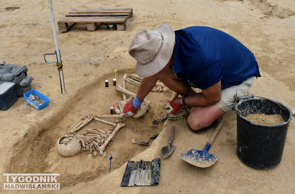 Odkrycia archeologiczne w Wilczycach
