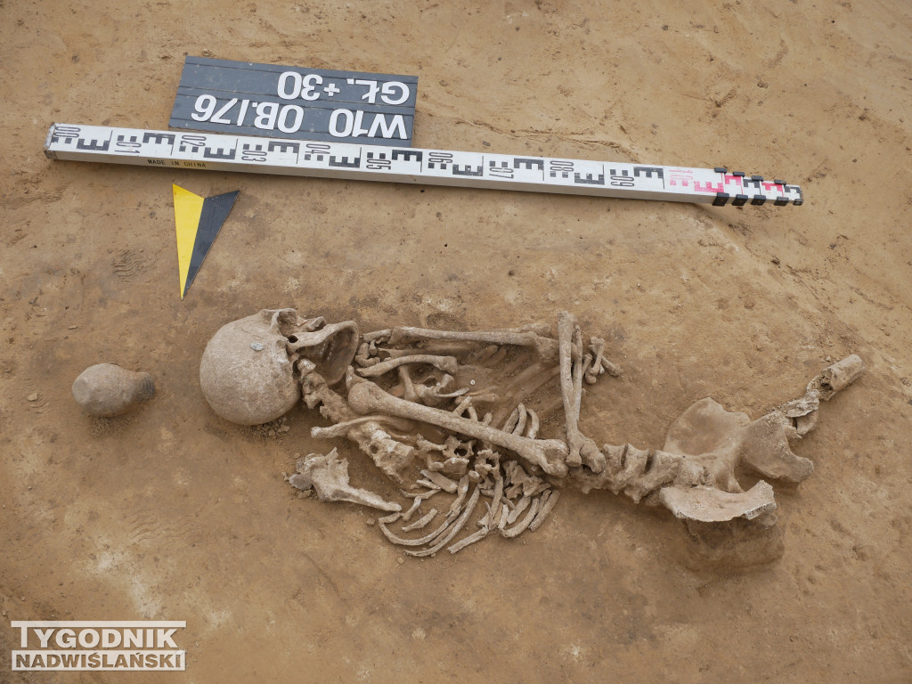 Odkrycia archeologiczne w Wilczycach
