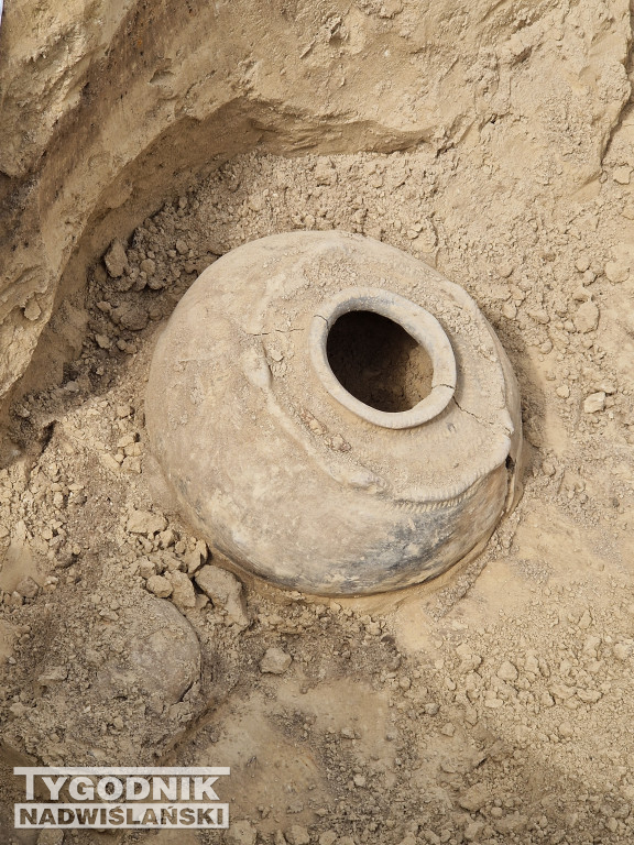 Odkrycia archeologiczne w Wilczycach