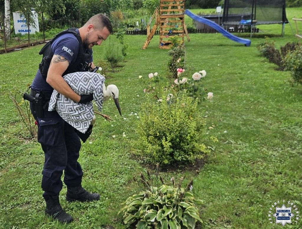 Policjanci ratowali sarnę i bociana