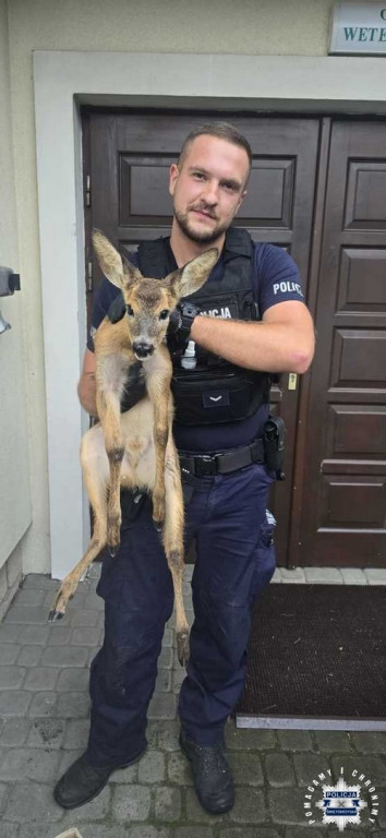 Policjanci ratowali sarnę i bociana