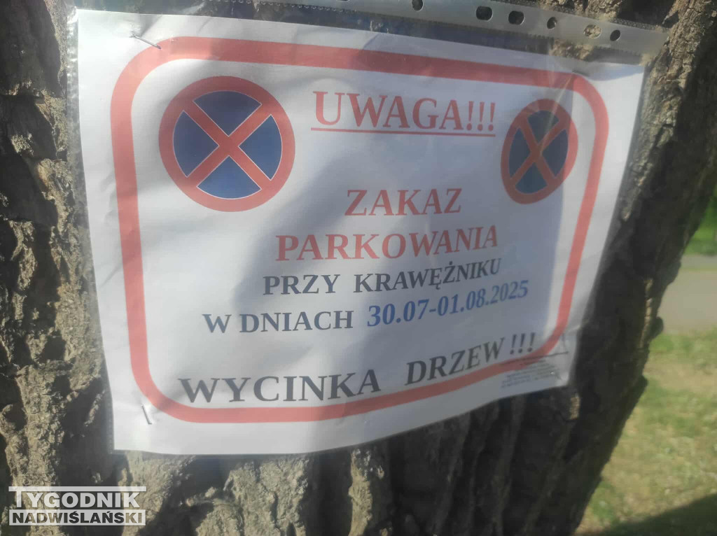 Przebudowa parkingu przy Jędrusiu