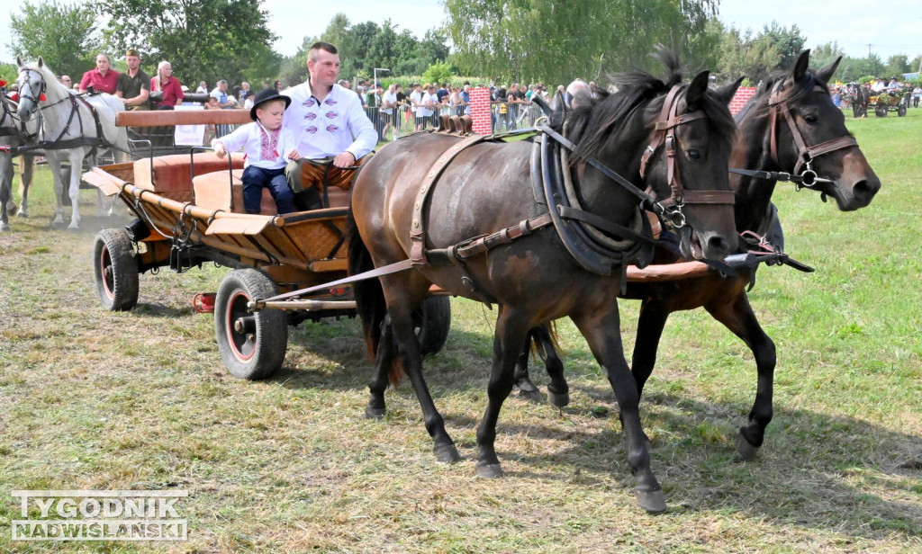 Zlot furmanek w Furmanach