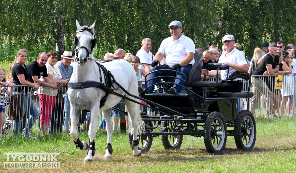 Zlot furmanek w Furmanach