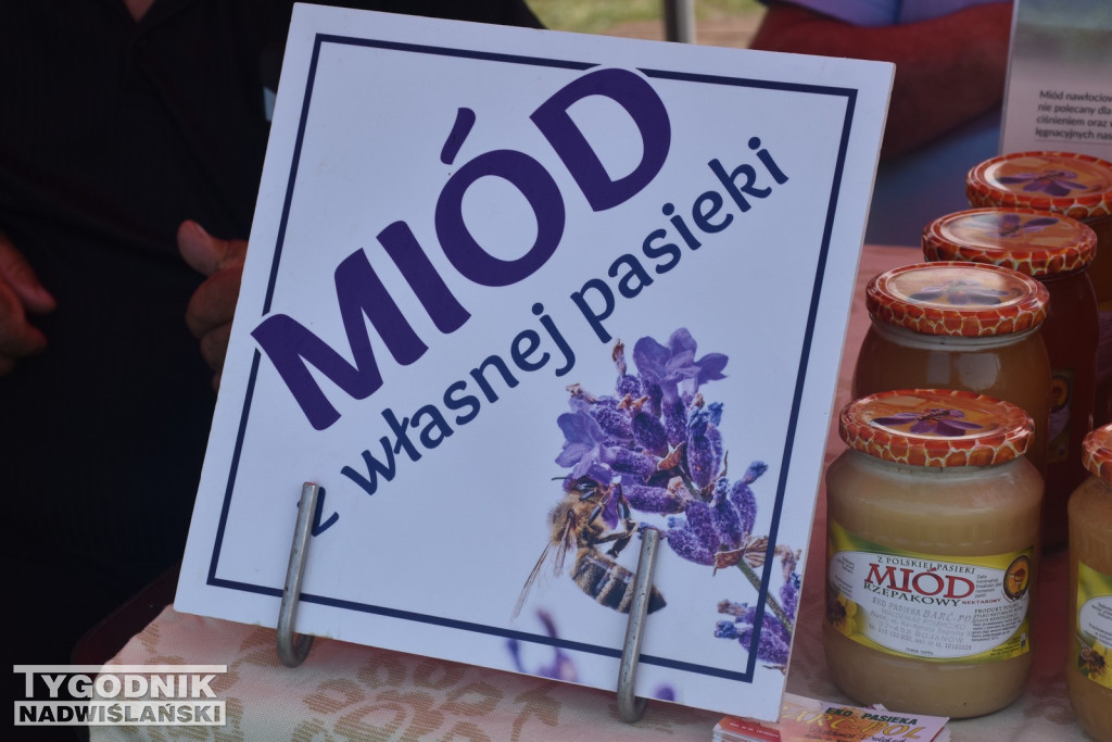 Dni Miodu w Bojanowie