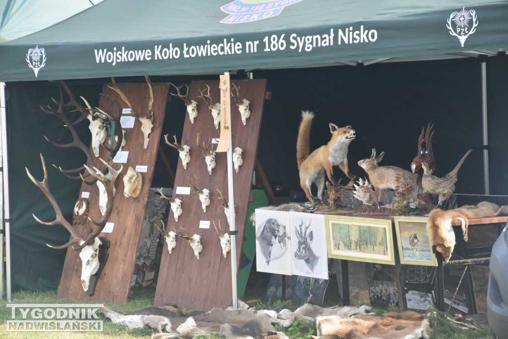 Dni Miodu w Bojanowie