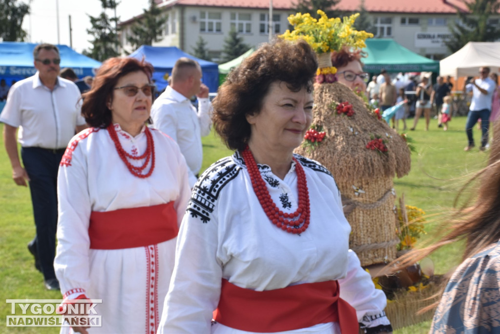 Dni Miodu w Bojanowie