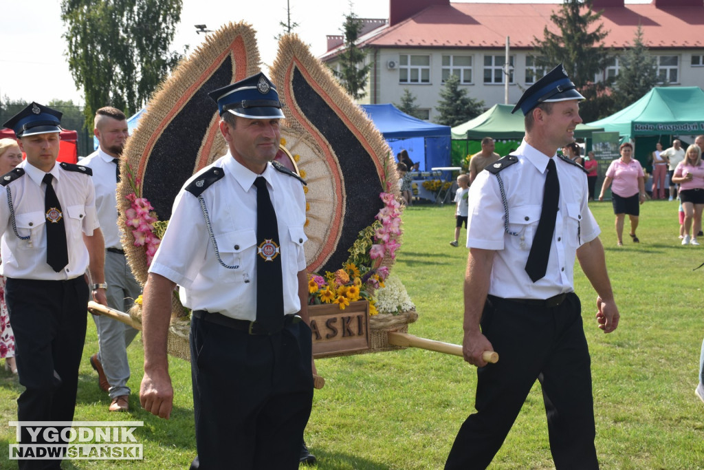 Dni Miodu w Bojanowie