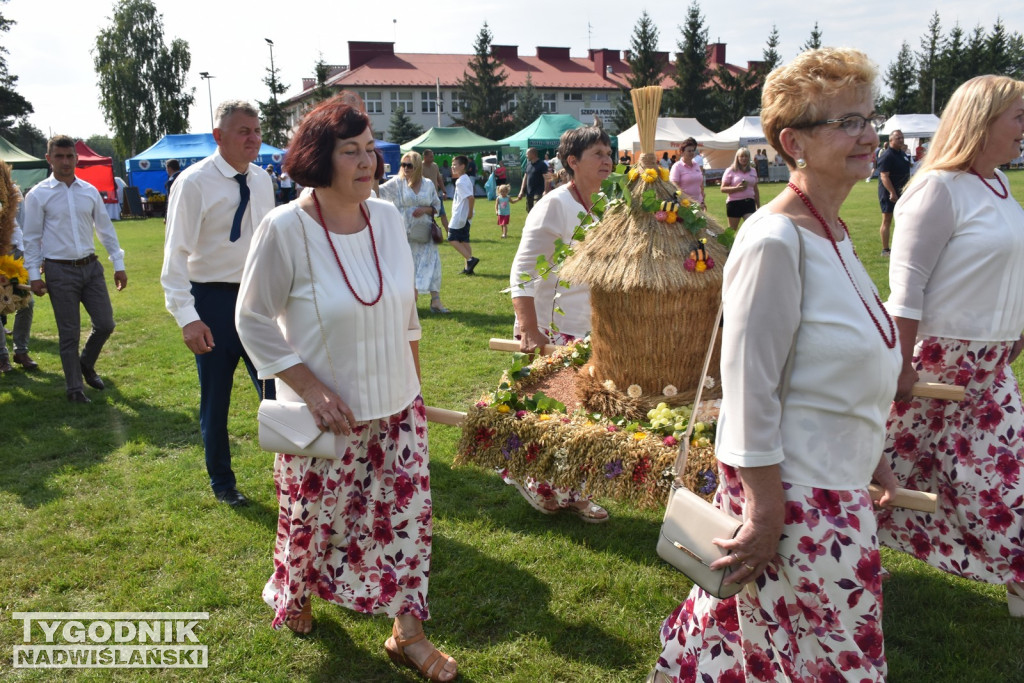 Dni Miodu w Bojanowie