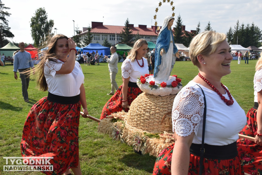 Dni Miodu w Bojanowie