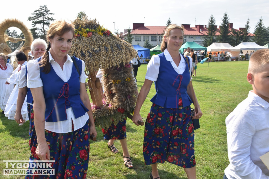 Dni Miodu w Bojanowie
