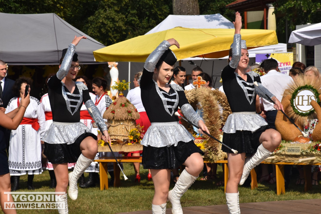 Dni Miodu w Bojanowie