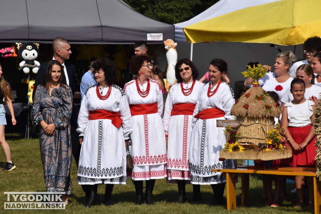 Dni Miodu w Bojanowie