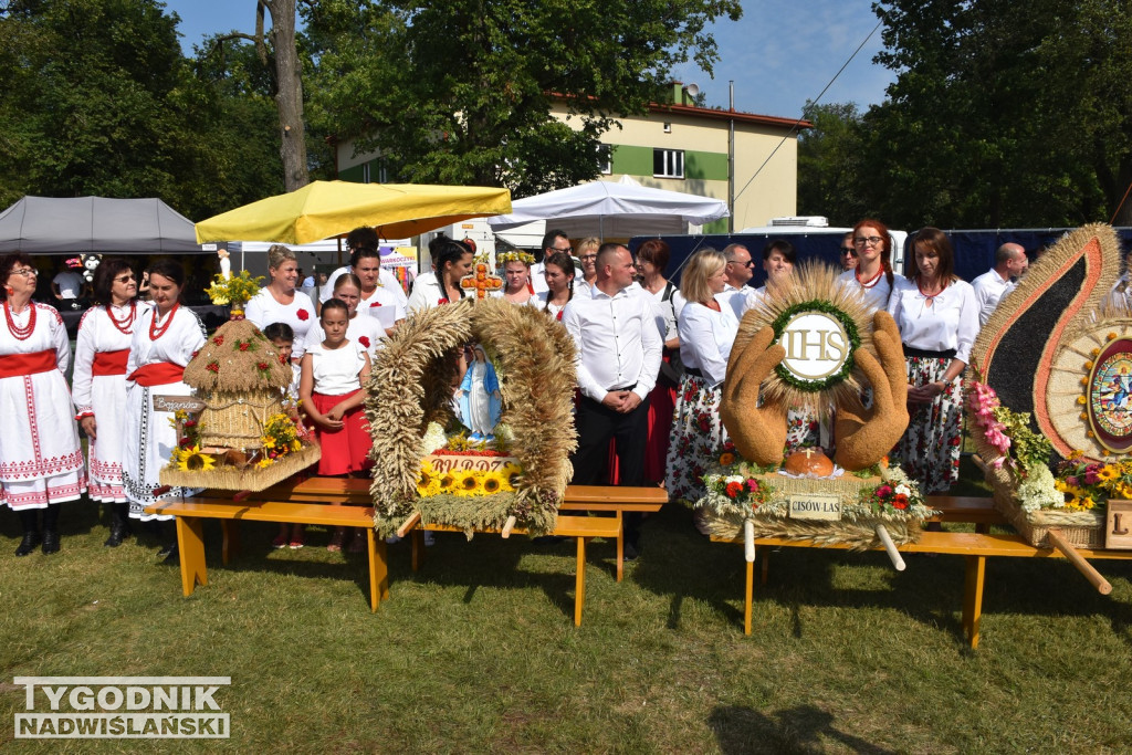 Dni Miodu w Bojanowie