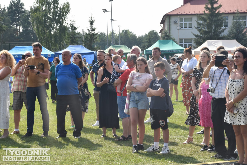 Dni Miodu w Bojanowie