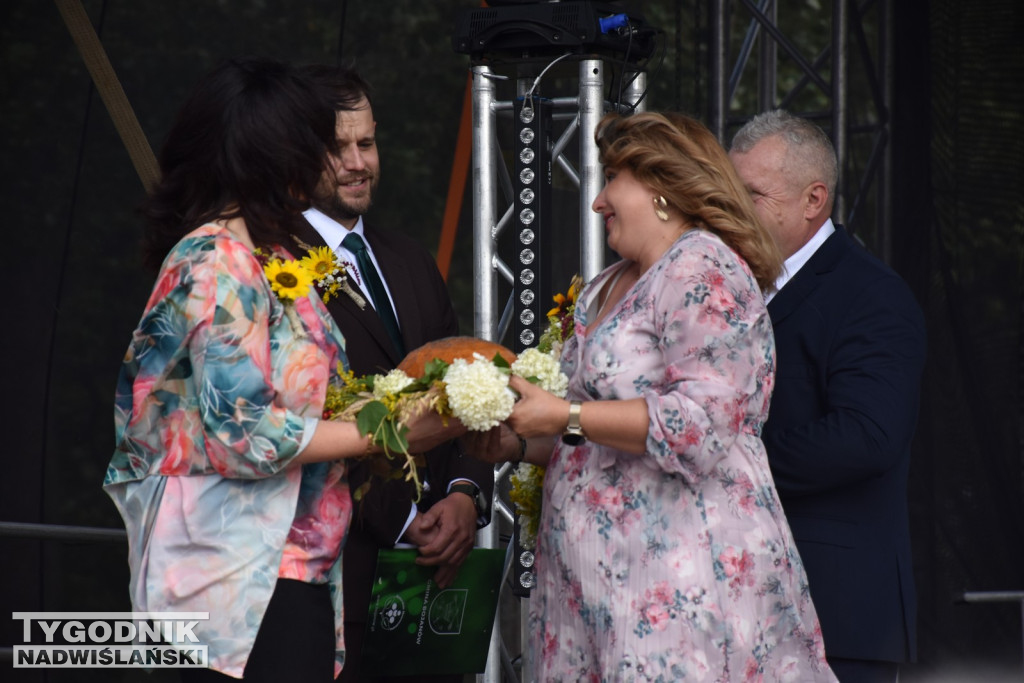 Dni Miodu w Bojanowie