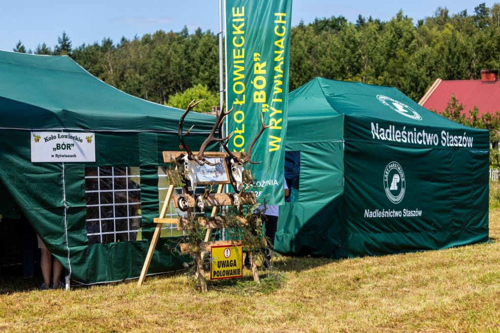 Festiwal „Właściwości Lecznicze Lasu”  w Kłodzie