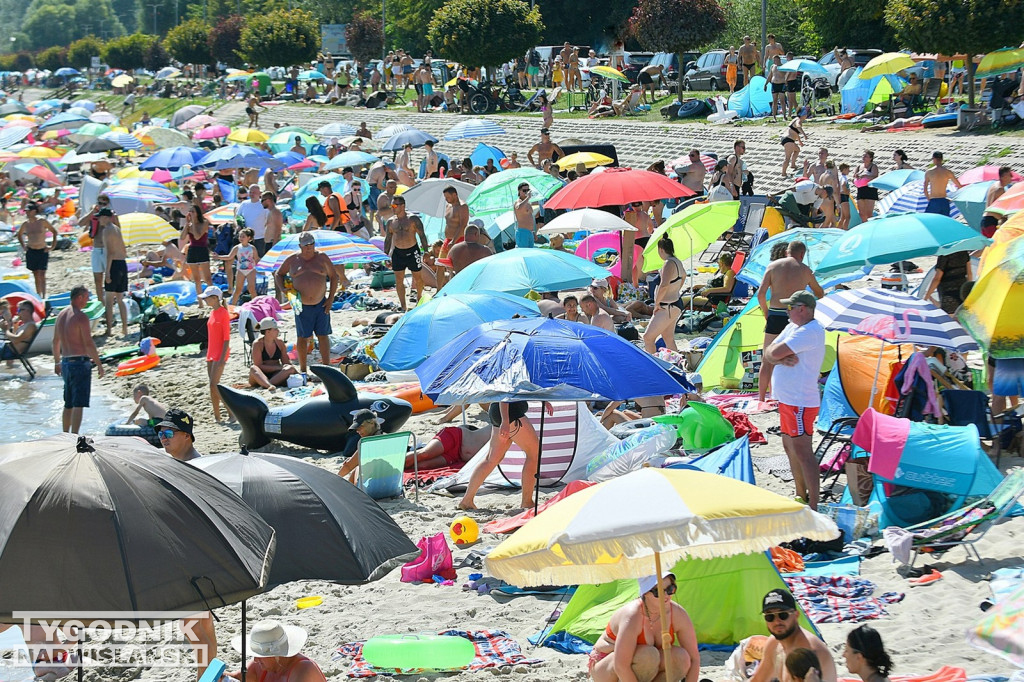 Piątek, 15 sierpnia, nad Jeziorem Tarnobrzeskim
