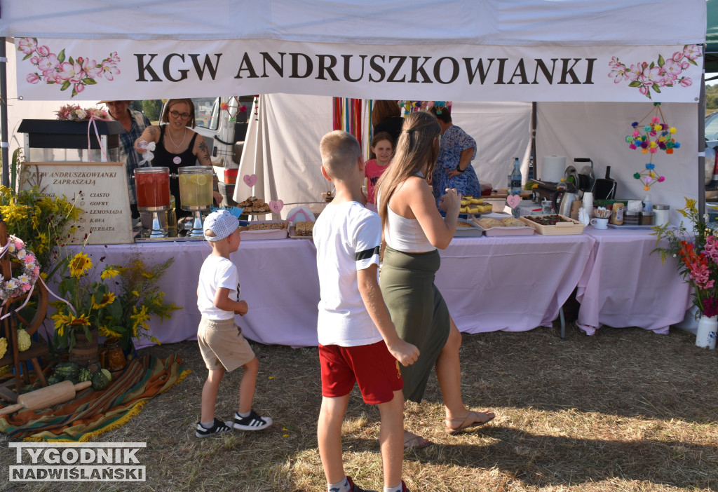 Dożynki Miejskie w sandomierskim Nadbrzeziu