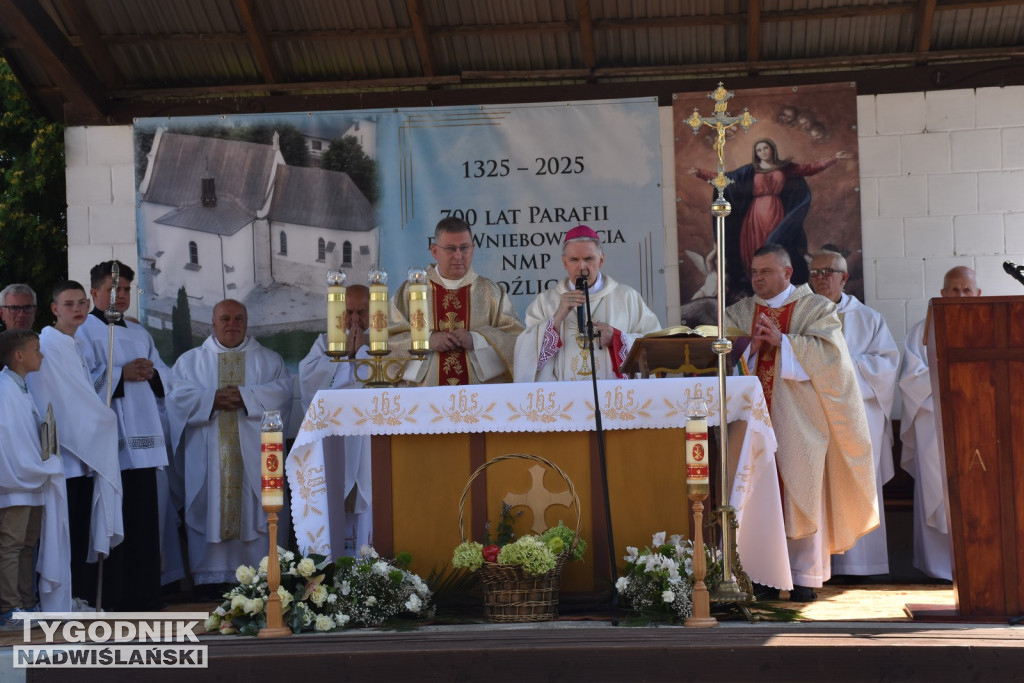 Jubileusz parafii w Goźlicach
