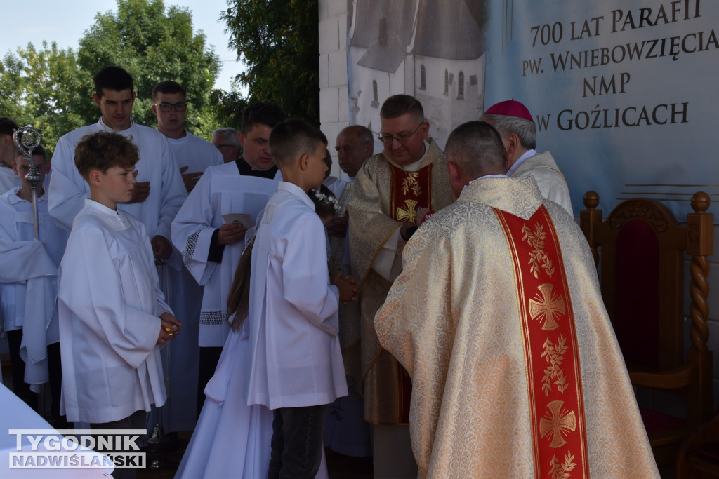 Jubileusz parafii w Goźlicach