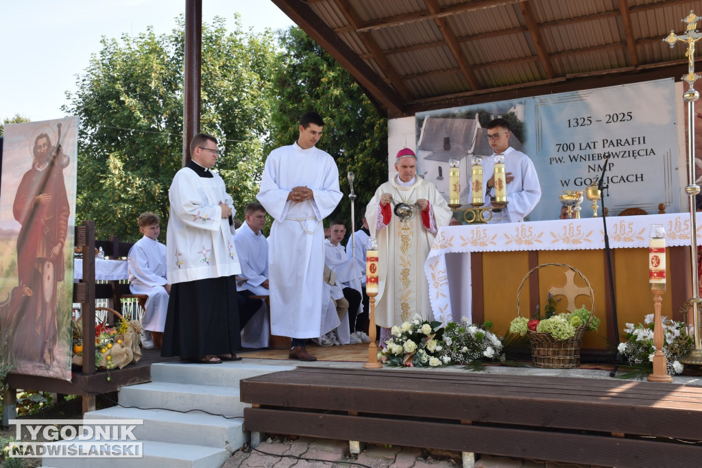 Jubileusz parafii w Goźlicach