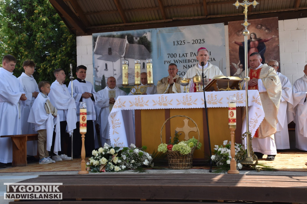 Jubileusz parafii w Goźlicach