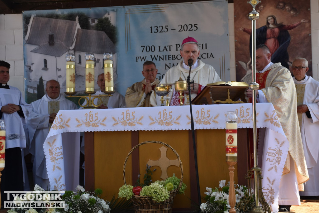 Jubileusz parafii w Goźlicach