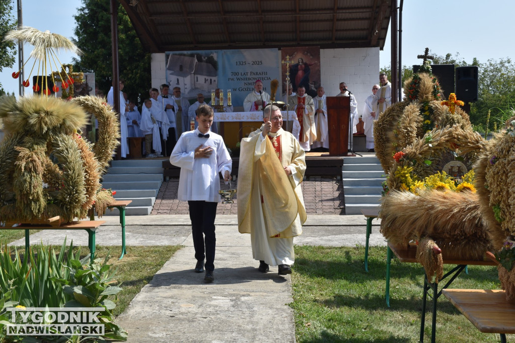 Jubileusz parafii w Goźlicach